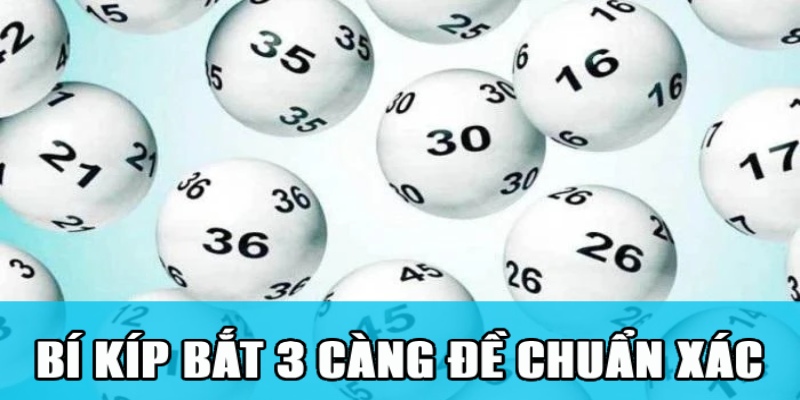 3 Càng Đề Ăn Bao Nhiêu? Cách Soi 3 Càng Đề Thắng Lớn 3 Bí kíp bắt 3 càng đề chuẩn xác kiếm lời hiệu quả