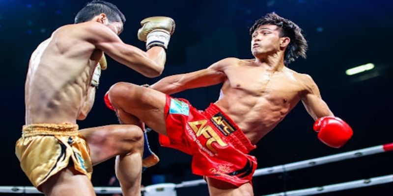 Cá Cược Quyền Thái ONE Championship Dễ Thắng Hiệu Quả 3 Bí quyết cá cược quyền Thái ONE Championship phân tích võ sĩ