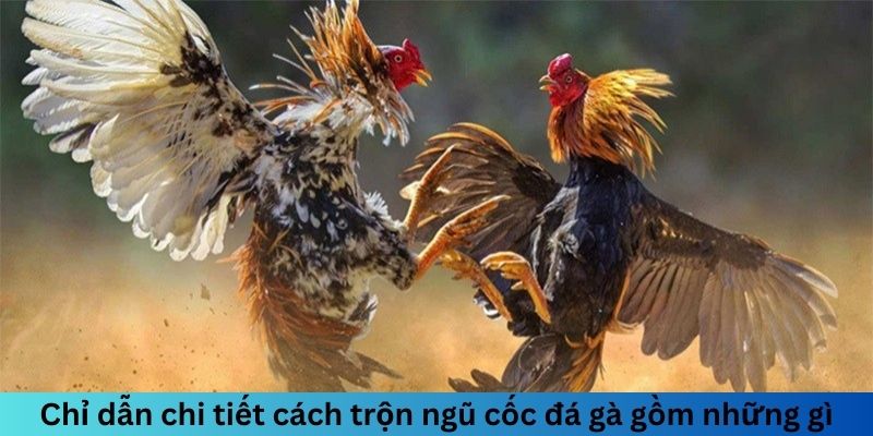 Ngũ Cốc Đá Gà Gồm Những Gì? Chế Độ Dinh Dưỡng Hoàn Hảo 2 Chỉ dẫn chi tiết cách trộn ngũ cốc đá gà gồm những gì?