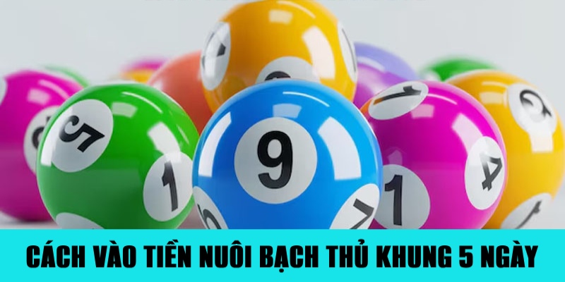 Nuôi Bạch Thủ Lô Khung 5 Ngày Đảm Bảo Ăn Đậm Tiền 2 Công thức vào tiền chuẩn khi nuôi bạch thủ 5 ngày