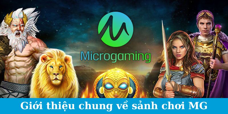Microgaming - Sự Lựa Chọn Số Một Của Game Thủ Lão Làng 1 Giới thiệu chung về sảnh chơi MG