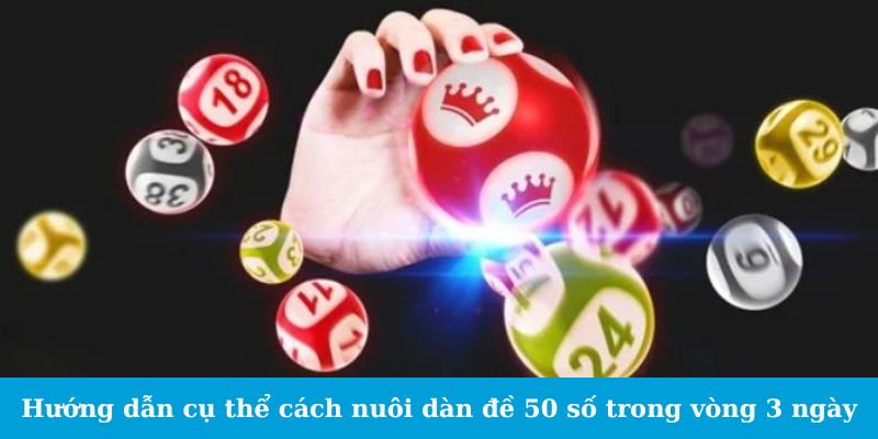 Dàn Đề 50 Số - Bật Mí Cách Trúng Lớn Mà Không Ai Ngờ Tới 2 Hướng dẫn cụ thể cách nuôi dàn đề 50 số trong vòng 3 ngày