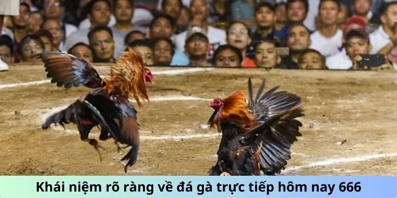 Đá Gà Trực Tiếp Hôm Nay 666 Với Các Chiến Kê Máu Lửa 1 Khái niệm rõ ràng về đá gà trực tiếp hôm nay 666