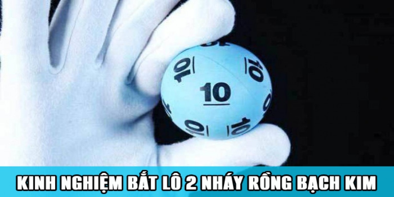 Soi Cầu Lô 2 Nháy Rồng Bạch Kim Đảm Bảo Trúng 100% 3 Kinh nghiệm bắt lô 2 nháy rồng bạch kim hiệu quả