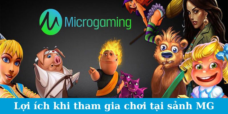 Microgaming - Sự Lựa Chọn Số Một Của Game Thủ Lão Làng 3 Lợi ích khi tham gia chơi tại sảnh MG