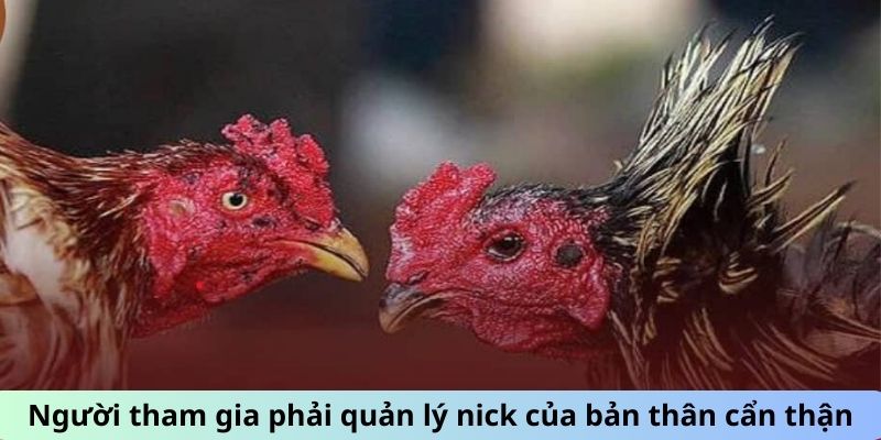 Đá Gà Trực Tiếp Hôm Nay 666 Với Các Chiến Kê Máu Lửa 3 Người tham gia phải quản lý nick của bản thân cẩn thận