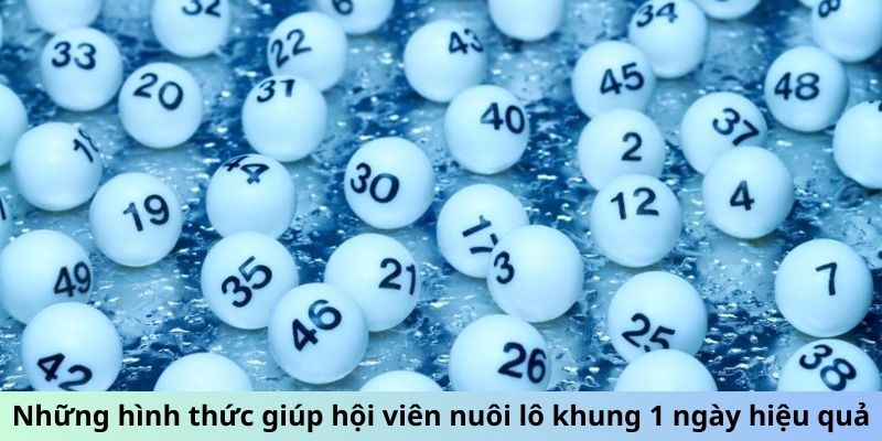 Nuôi Khung 1 Ngày - Cẩm Nang Tối Ưu Lợi Nhuận Đơn Giản 2 Những hình thức giúp hội viên nuôi lô khung 1 ngày hiệu quả