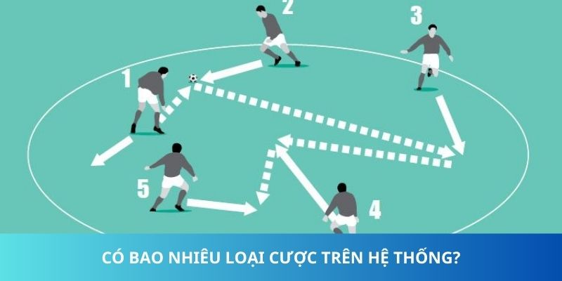 Number Game Soccer 5 - Khám Phá Dòng Game Bóng Đá Online 2 Có bao nhiêu loại cược trên hệ thống?