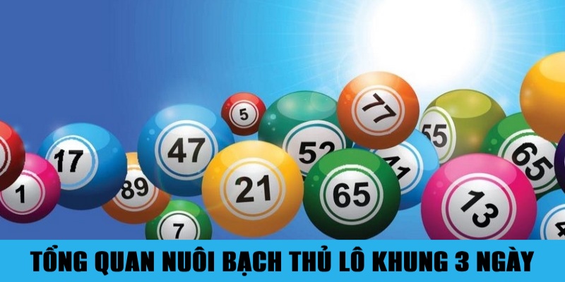 Nuôi Bạch Thủ Lô Khung 3 Ngày Đúng Chuẩn Không Lo Lỗ 1 Sơ lược về chiến thuật nuôi bạch thủ lô khung 3 ngày