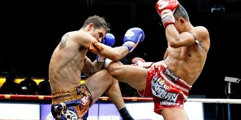 Cá Cược Quyền Thái ONE Championship Dễ Thắng Hiệu Quả 2 Tham gia cá độ quyền Thái bằng kèo thắng/thua