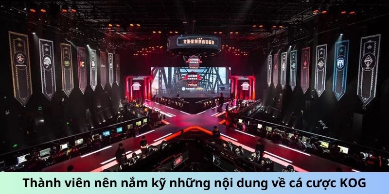 Cá Cược King of Glory Pro League - Cẩm Nang Cho Tân Thủ 1 Thành viên nên nắm kỹ những nội dung về cá cược KOG