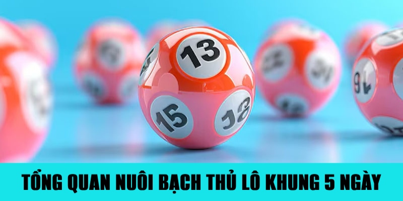 Nuôi Bạch Thủ Lô Khung 5 Ngày Đảm Bảo Ăn Đậm Tiền 1 Thông tin cơ bản về việc nuôi bạch thủ lô khung 5 ngày