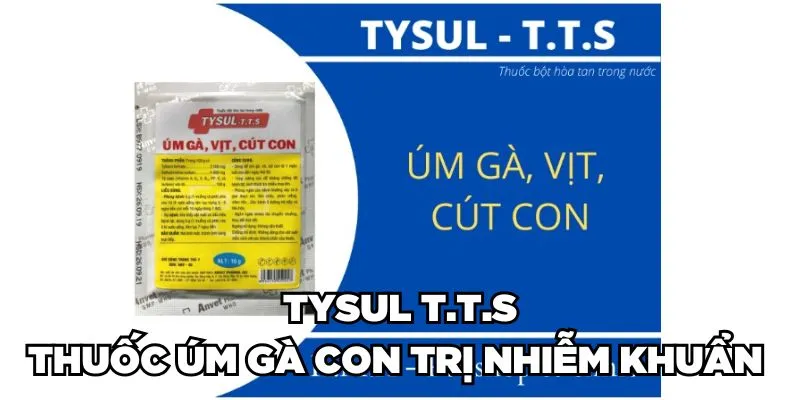 Thuốc Úm Gà Con Là Gì? Phân Loại & Cách Sử Dụng 2024 4 Tysul T.T.S - Thuốc úm gà con trị nhiễm khuẩn