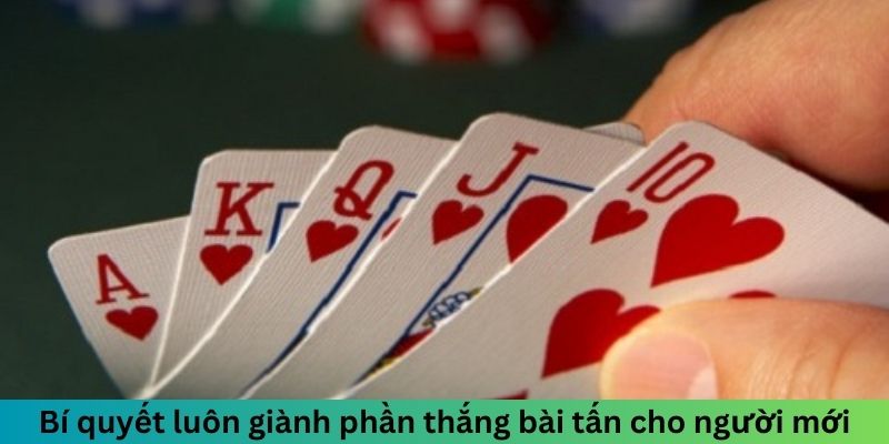 Bài Tấn - Chinh Phục Đỉnh Cao Thách Thức Mọi Đối Thủ 2 Bí quyết luôn giành phần thắng Bài Tấn cho người mới