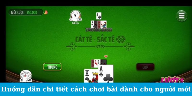 Bài Catte Jun88 - Lộ Trình Thành Cao Thủ Thắng Lớn Bất Bại 2 Hướng dẫn chi tiết cách chơi bài dành cho người mới