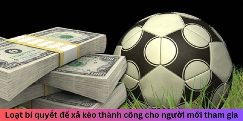 Xả Kèo Là Gì? Hiểu Rõ Để Tối Ưu Hóa Lợi Nhuận Khi Cược 3 Loạt bí quyết để xả kèo thành công cho người mới tham gia