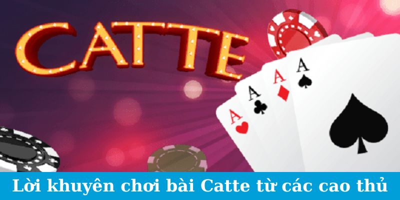 Bài Catte Jun88 - Lộ Trình Thành Cao Thủ Thắng Lớn Bất Bại 3 Lời khuyên chơi bài Catte từ các cao thủ