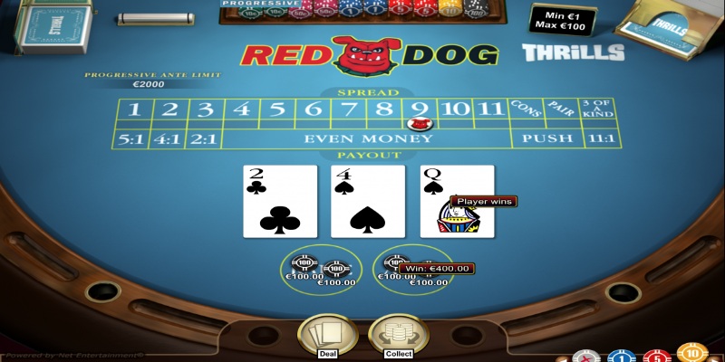 Red Dog – Tựa Game Bài Độc Đáo Đáng Để Trải Nghiệm 1 Quy tắc chơi cơ bản đầy thú vị của Red Dog