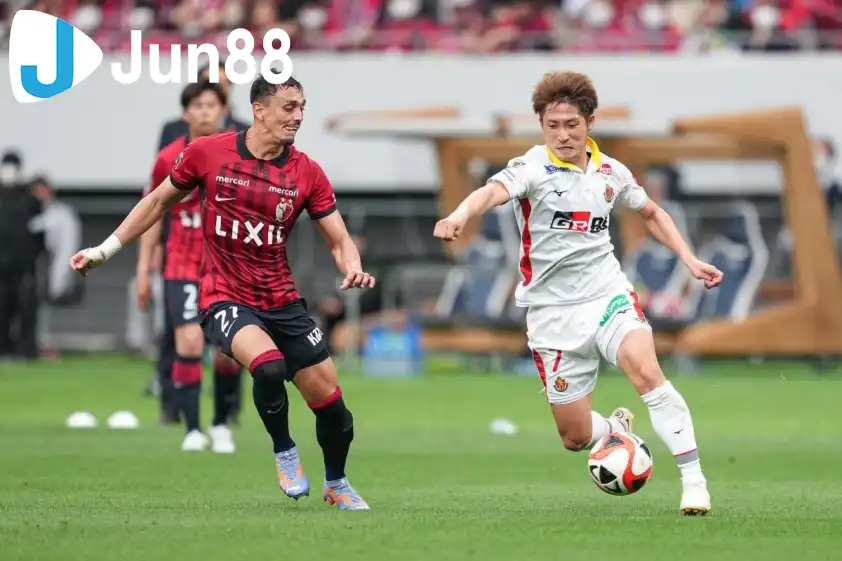 Albirex Niigata đang chìm sâu dưới đáy BXH. Albirex Niigata đang chìm sâu dưới đáy BXH.