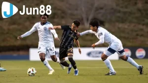 pr8fculq8uvgohmpwxxq 135008